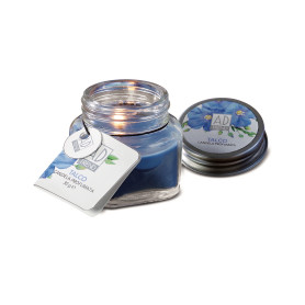 STAR CANDELA PROF+VETRO ASS. 6 FRAGRANZE