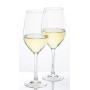 FT SET 2 CALICI VINO BIANCO