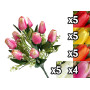 VEA BUSH TULIPANI 9 FIORI 39CM TIG59972