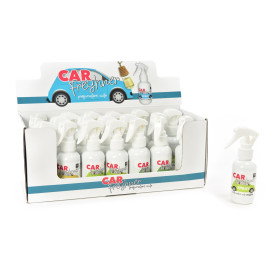 MERCURY PROFUMATORE SPRAY PER AUTO 100ML