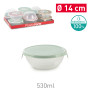 PLASTICFORTE CIOTOLA CON COPERCHIO CM.14