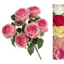 VEA MAZZO ROSE 7 FIORI 50CM LUS60527