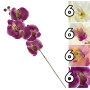 VEA RAMO ORCHIDEA 72CM 4ASS. NIC62244