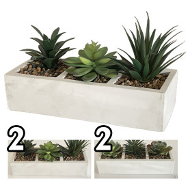 VEA PIANTA GRASSA 26X10X13CM GHA60517