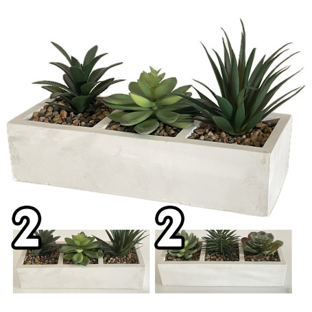 VEA PIANTA GRASSA 26X10X13CM GHA60517