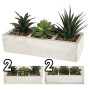 VEA PIANTA GRASSA 26X10X13CM GHA60517
