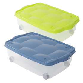 B&F STORAGE BOX TARTARUGO 60X40X18,5 ASS